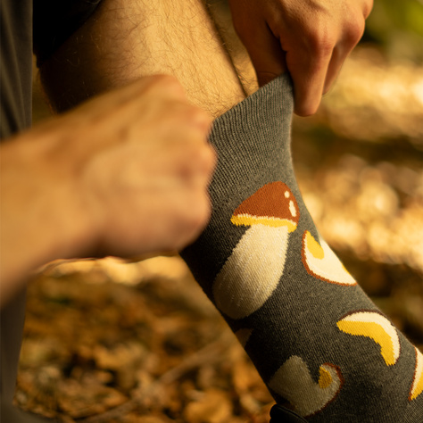 Men's colorful socks SOXO dried boletes