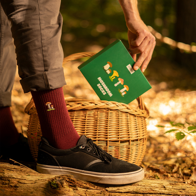 Mushroom Socks 4-Pack