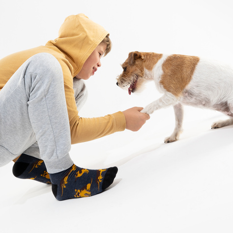 Colorful Men's | Women's SOXO German Shepherd Socks in a Can.