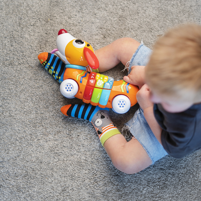 Animal Children's Socks 3-Pack