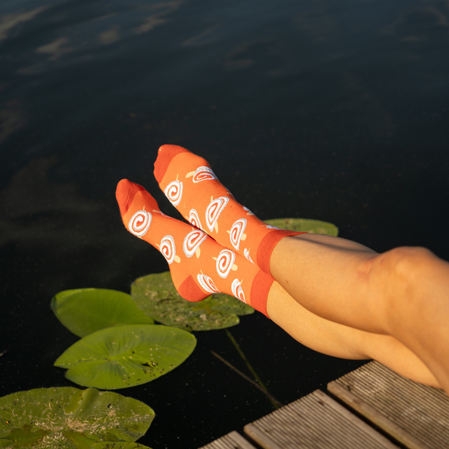 Herring Rolls Socks