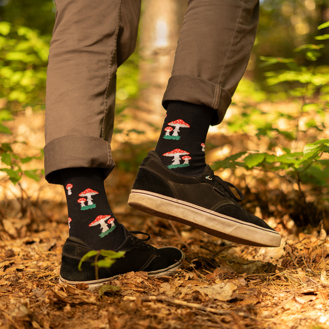 Mr Toadstool Sock