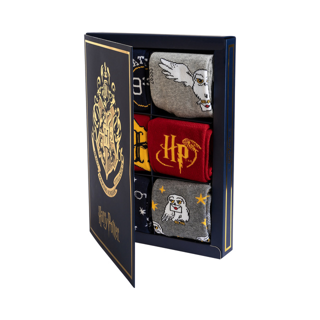 Gift Box ze Skarpetkami Harry Potter 6-pak
