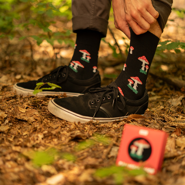 SOXO men's socks Mr. Toadstool in a pack