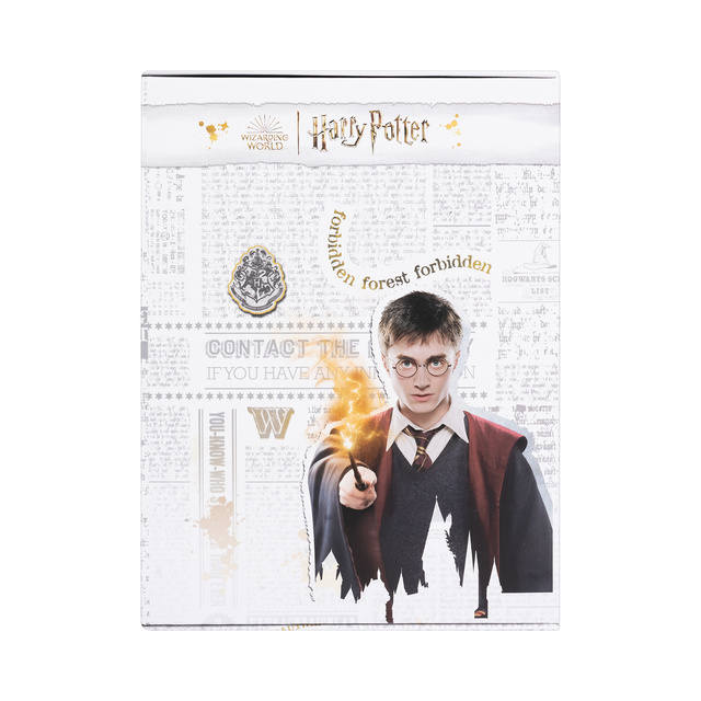 Gift Box ze Skarpetkami Harry Potter 6-pak