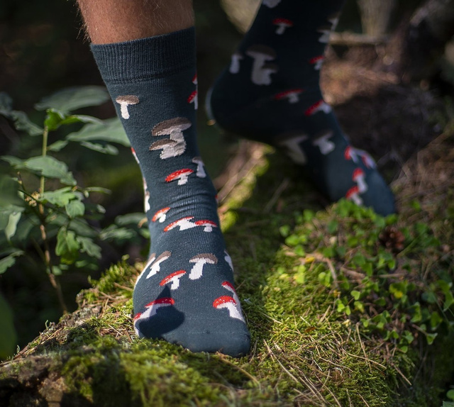 Mushroom Socks