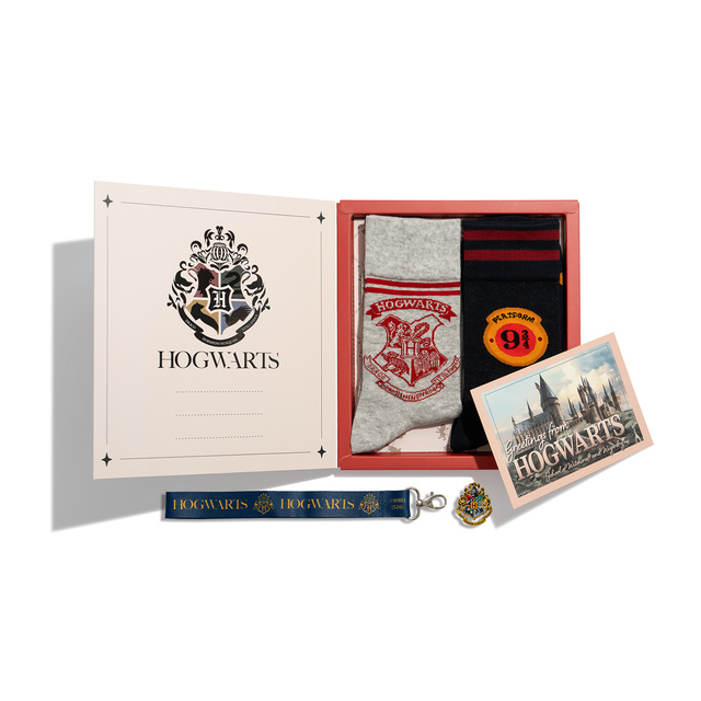 Skarpetki Harry Potter 2-pak