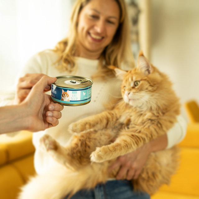 Cat Food Socks in a Can